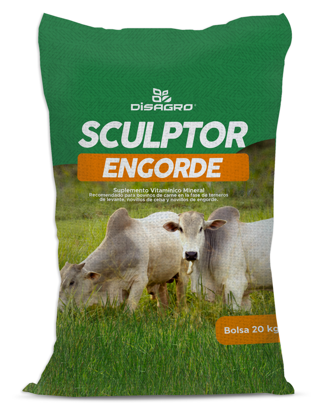 SCULPTOR Engorde