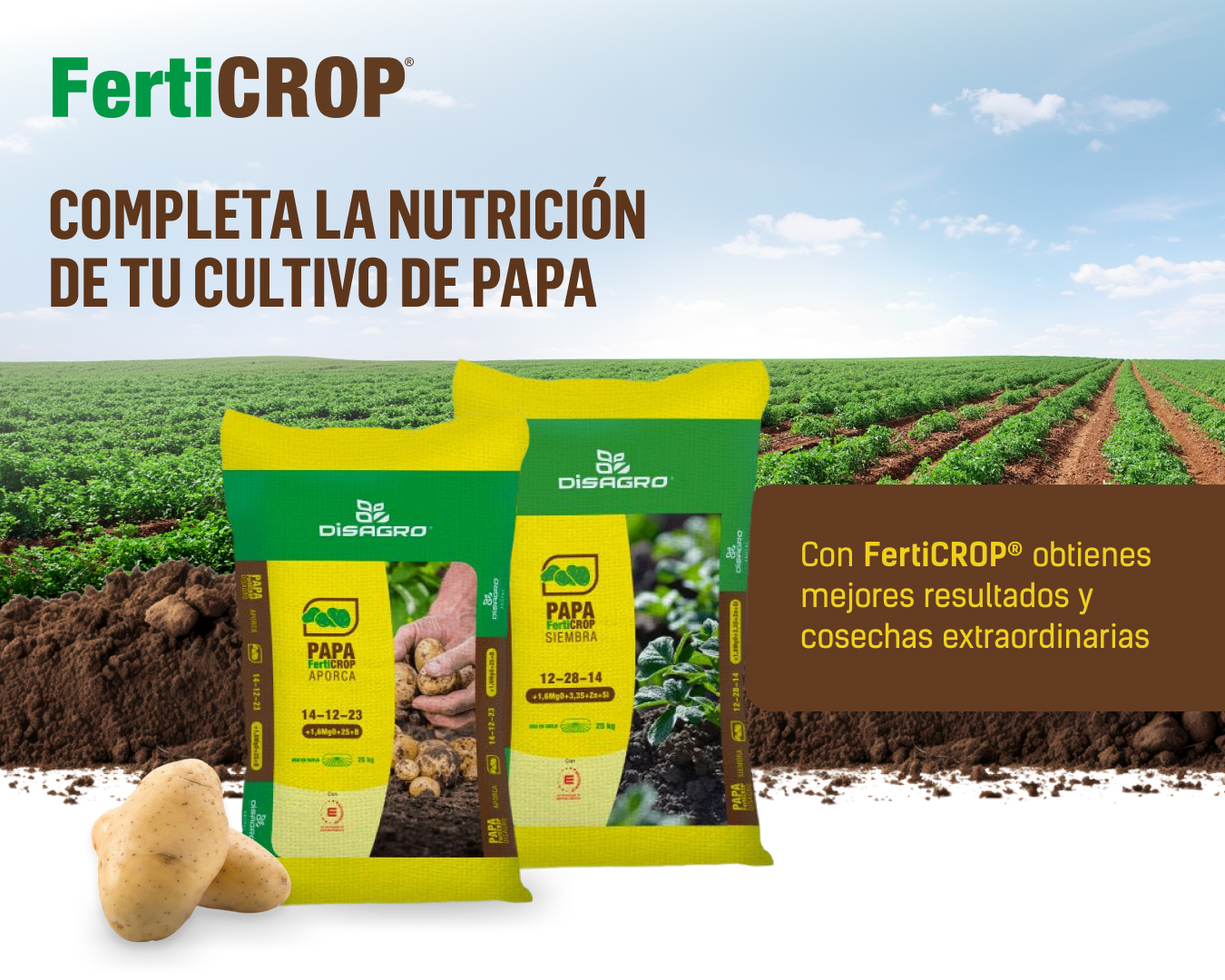 mejor-fertilizante-papa-costa-rica-ferticrop